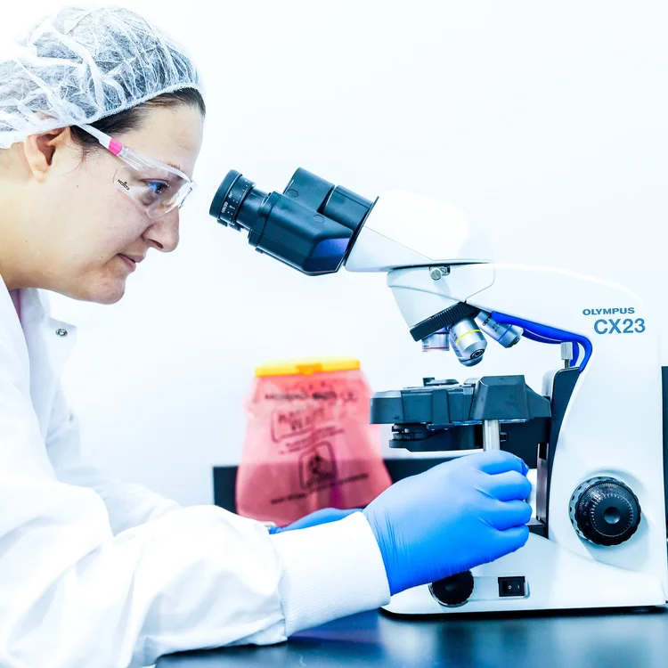 looking into microscope at sample